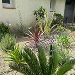 La Maison Patricia * Aramon