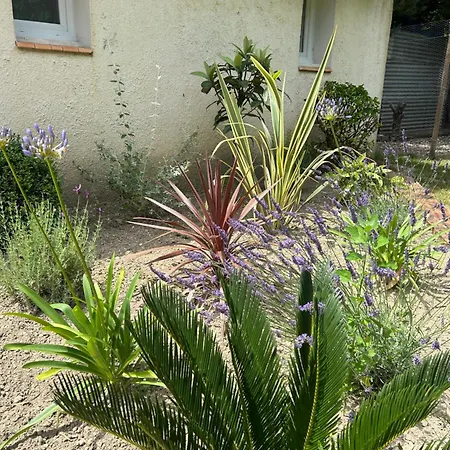 La Maison Patricia * Aramon